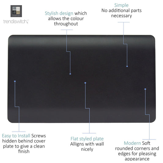 Trendi 2 Gang Artistic Modern Glossy Tactile Double Blanking Plate Matt Black