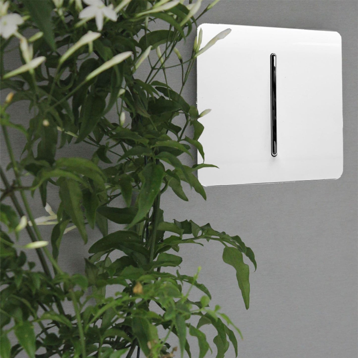 Trendi Switch 1 Gang Intermediate Rocker Modern Designer Light Switch in Carbon Fibre