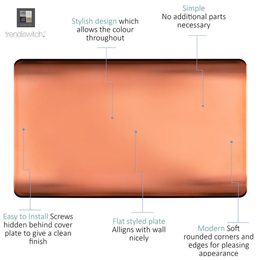Trendi 2 Gang Artistic Modern Glossy Tactile Double Blanking Plate Copper