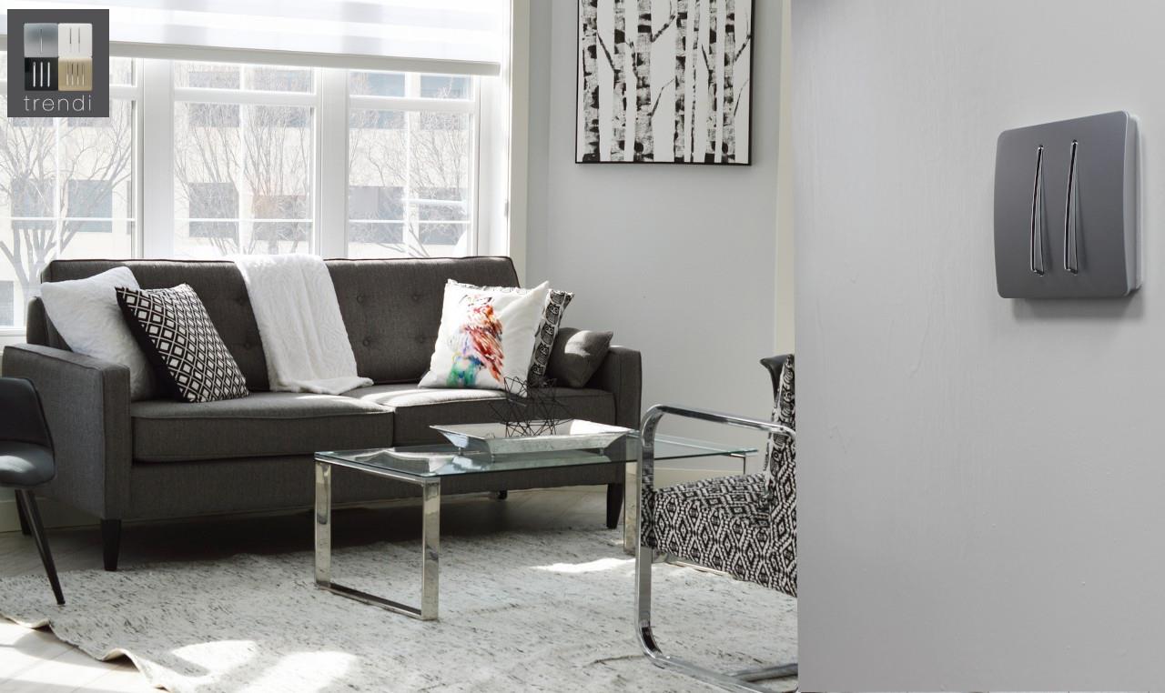 Trendi 2 Gang Retractive Home Automation Switch in Silver