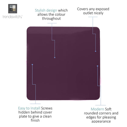 Trendi Artistic Modern Glossy Tactile Single Blanking Plate Plum