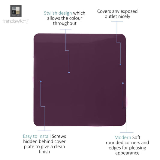 Trendi Artistic Modern Glossy Tactile Single Blanking Plate Plum