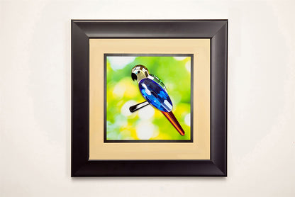Diyas Home Crystal Wall Art (DH) Nature Parrot, Black Frame, Blue, Yellow, Black, Green, Red Crystal Framed