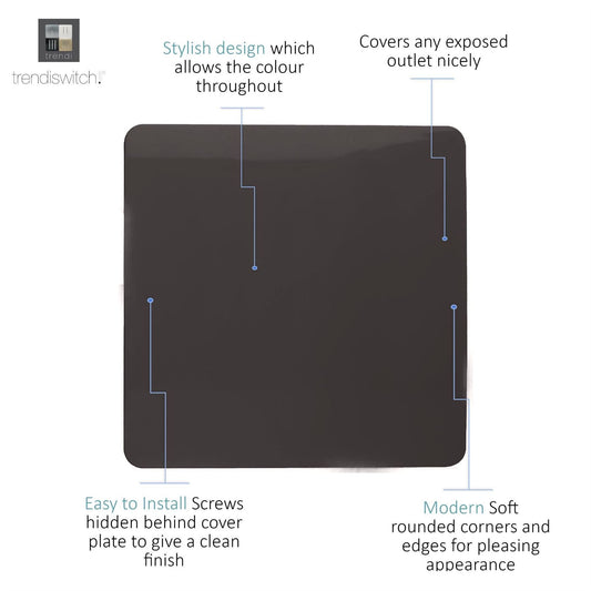 Trendi Artistic Modern Glossy Tactile Single Blanking Plate Dark Brown