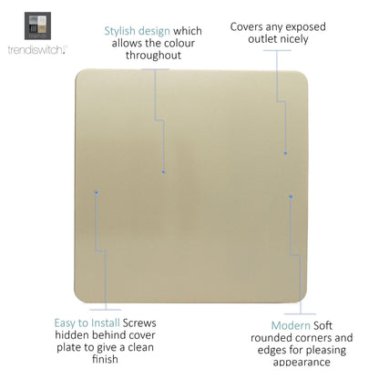 Trendi Artistic Modern Glossy Tactile Single Blanking Plate Gold ART-BLKGO
