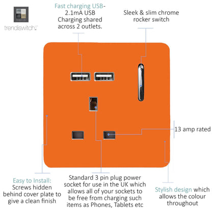 Trendi 1 Gang Artistic Modern Glossy 13 Amp 2x2.1mA USB Switched Tactile Orange