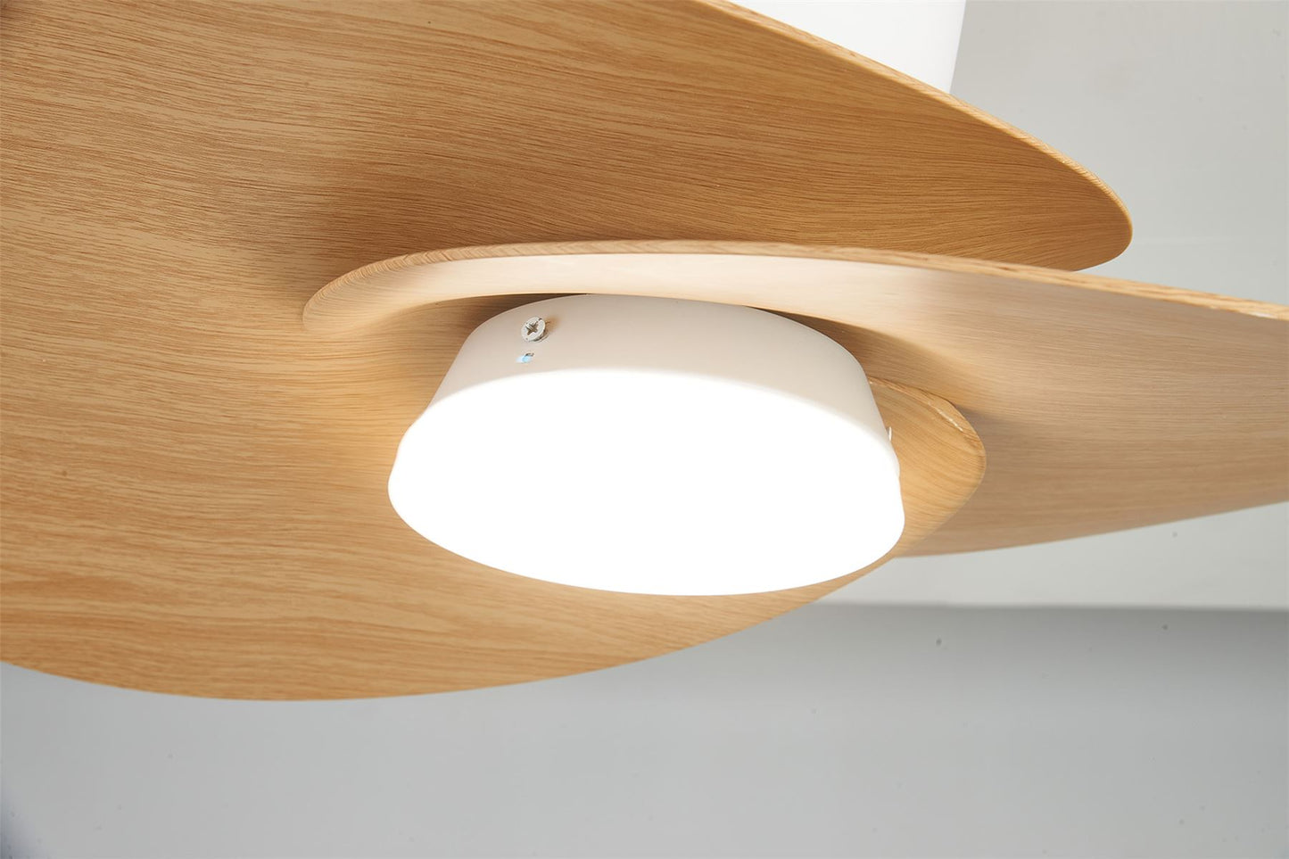 Nenufar 74 x 44cm 18W LED Dimmable Ceiling Light With Built-In 30W DC Fan, 3000-5000K Remote Control, 3600lm, White/Wood, 5yrs Warranty