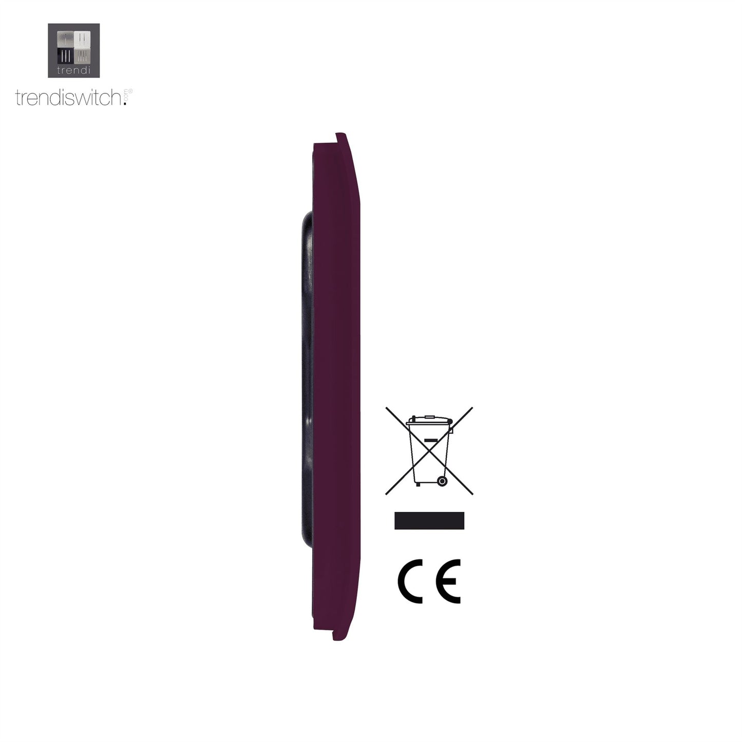 Trendi Artistic Modern Glossy Tactile Single Blanking Plate Plum