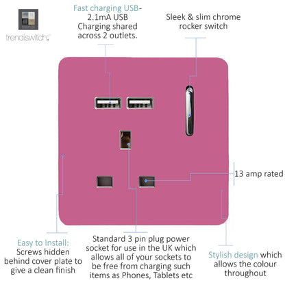 Trendi 1 Gang Artistic Modern Glossy 13 Amp 2x2.1mA USB Switched Tactile Pink