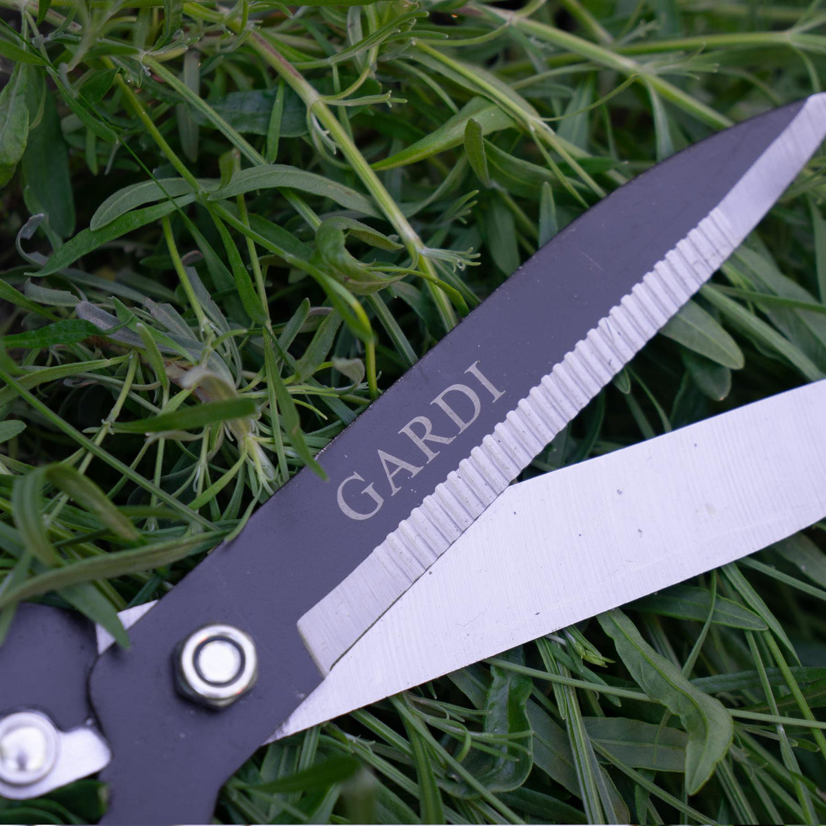 Gardi Orange Serrated Garden Hedge Comfort Grip Shears