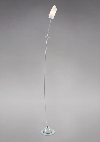 Diyas Lucia Floor Lamp with In-Line Dimmer 1 Light G9 Polished Chrome/Frosted Glass, NOT LED/CFL Compatible