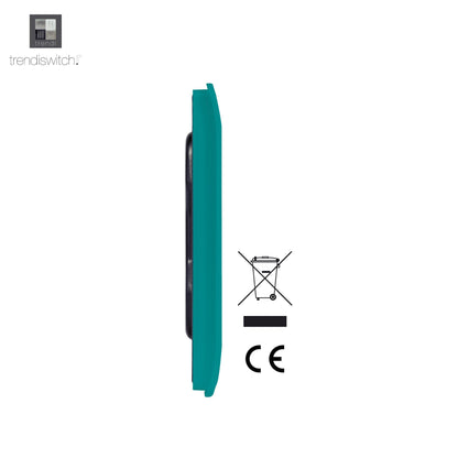 Trendi Artistic Modern Glossy Tactile Single Blanking Plate Bright Teal