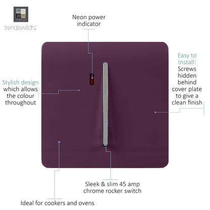Trendi Artistic Modern Glossy 20 A Tactile Light Switch & Neon Insert Plum