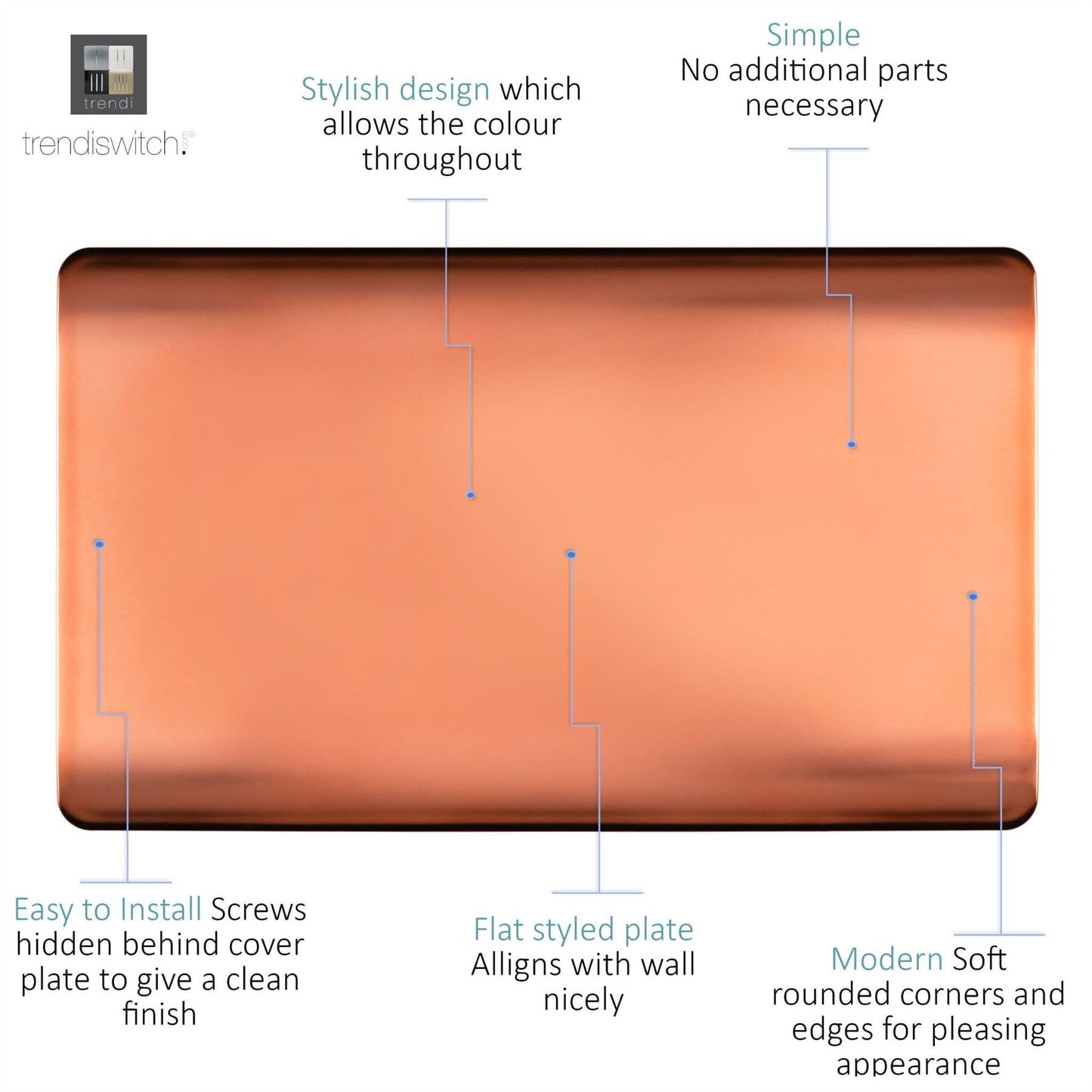 Trendi 2 Gang Artistic Modern Glossy Tactile Double Blanking Plate Copper