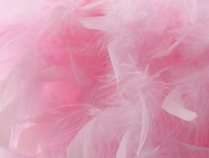 Diyas Arqus Feather Shade Pink 250mm x 180mm