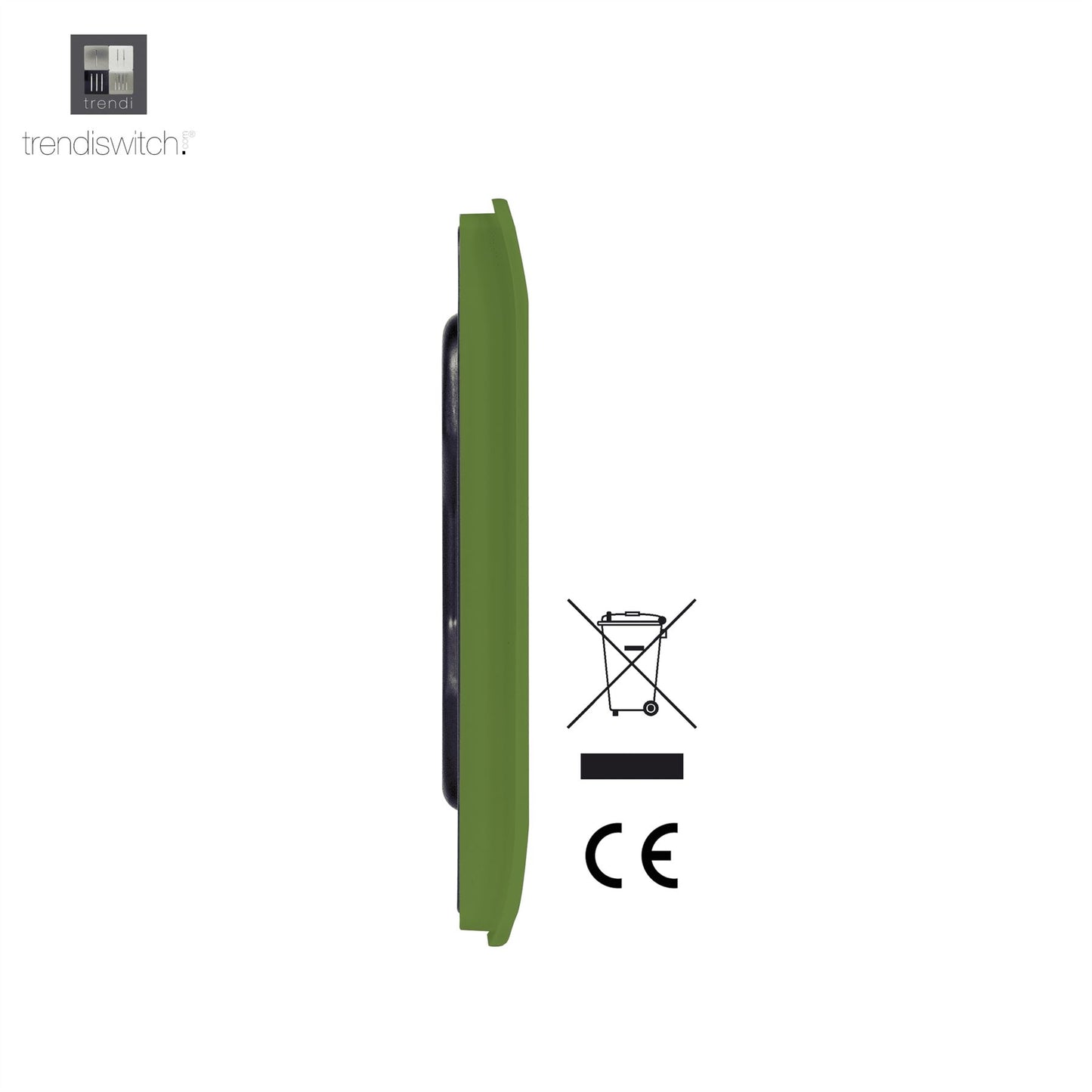 Trendi Artistic Modern Glossy Tactile Single Blanking Plate Moss Green