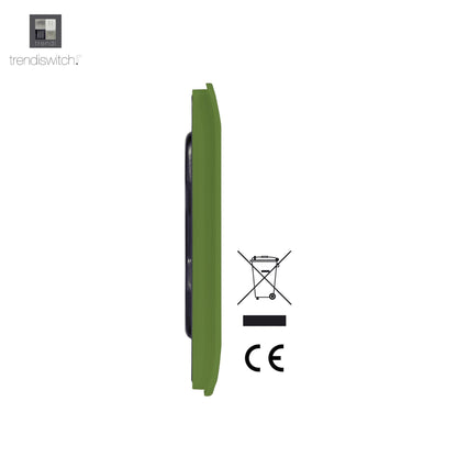 Trendi Artistic Modern Glossy Tactile Single Blanking Plate Moss Green