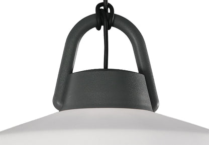 Mantra Fusion M6212 Kinke Pendant, 1 x E27, IP65, Anthracite, 2yrs Warranty