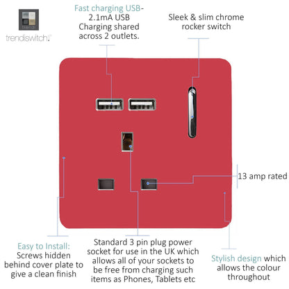 Trendi 1 Gang Artistic Modern Glossy 13 Amp 2x2.1mA USB Switched Tactile Strawberry