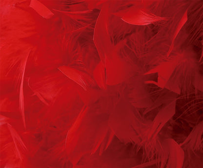 Diyas Arqus Feather Shade Red 410mm x 200mm