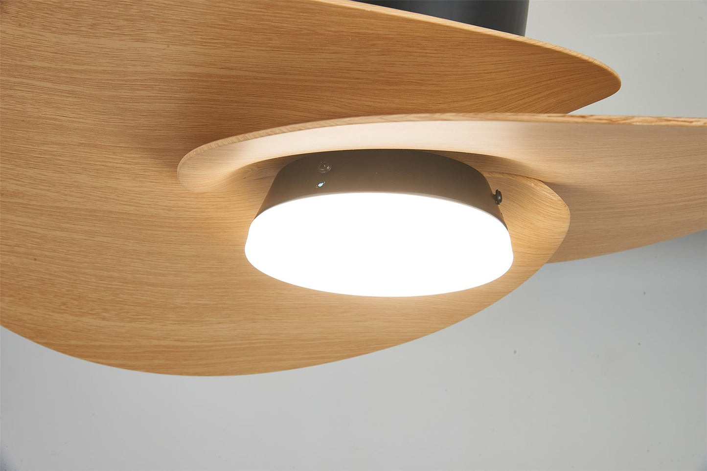 Nenufar 74 x 44cm 18W LED Dimmable Ceiling Light With Built-In 30W DC Fan, 3000-5000K Remote Control, 3600lm, Black/Wood, 5yrs Warranty