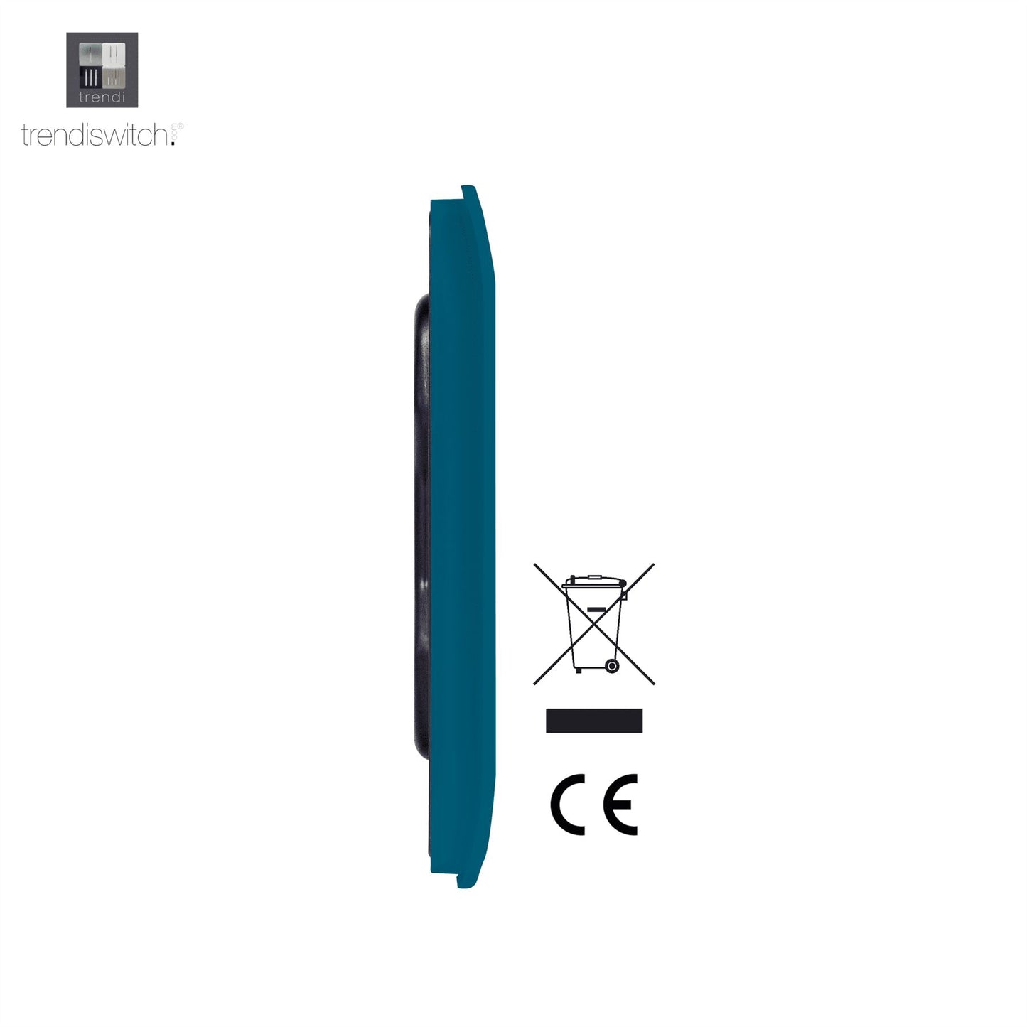 Trendi 2 Gang Artistic Modern Glossy Tactile Double Blanking Plate Ocean Blue