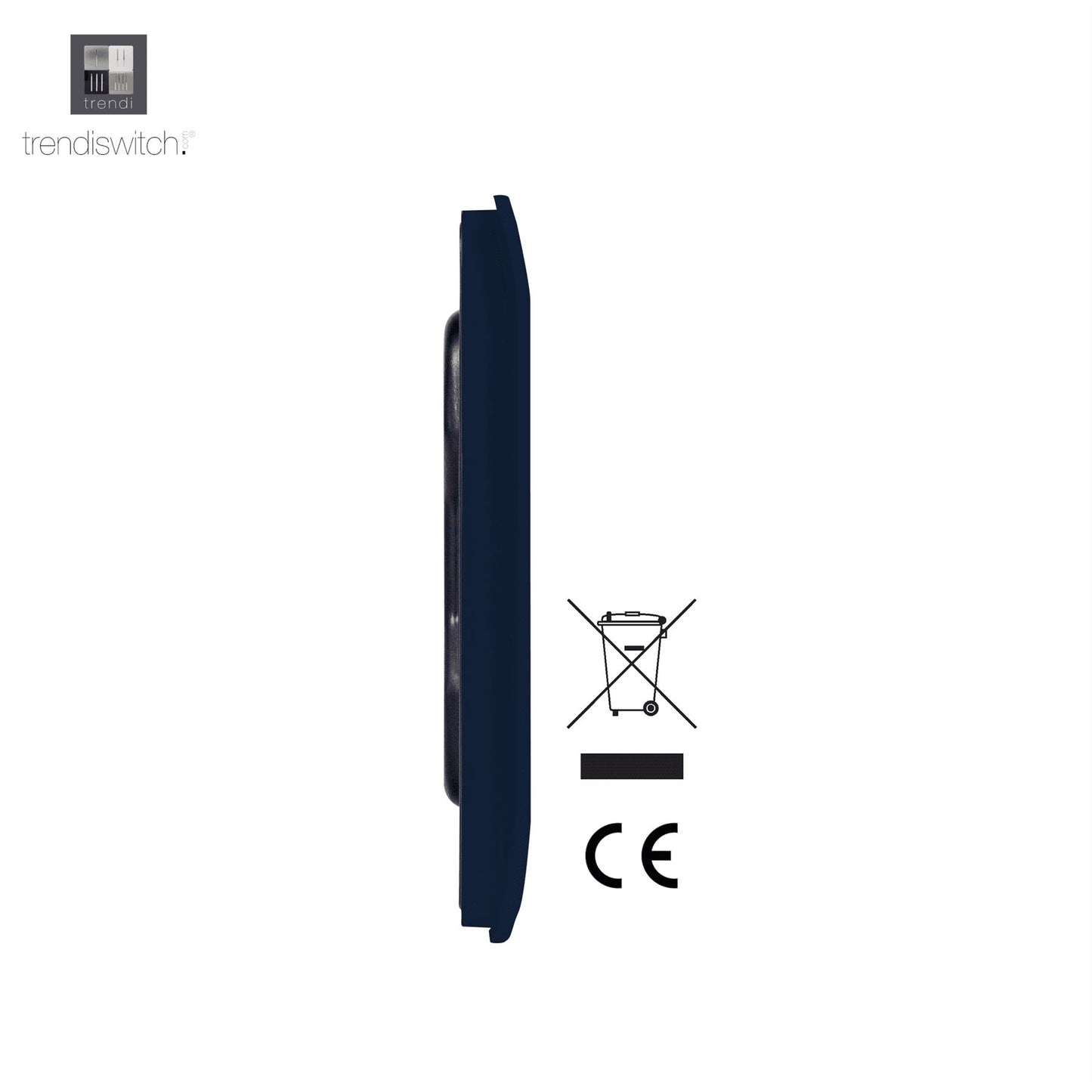 Trendi Artistic Modern Glossy Tactile Single Blanking Plate Navy