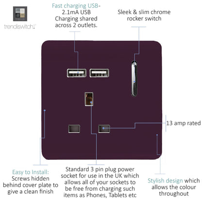 Trendi 1 Gang Artistic Modern Glossy 13 Amp 2x2.1mA USB Switched Tactile Plum