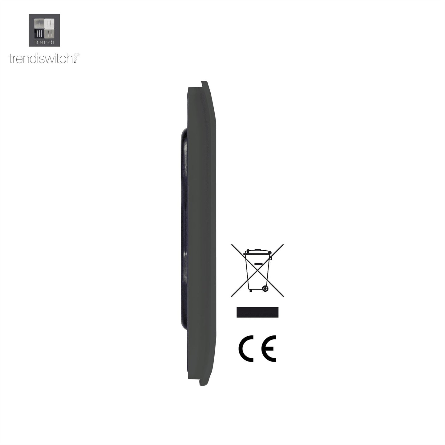 Trendi Artistic Modern Glossy Tactile Single Blanking Plate Charcoal
