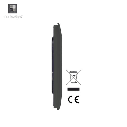 Trendi Artistic Modern Glossy Tactile Single Blanking Plate Charcoal