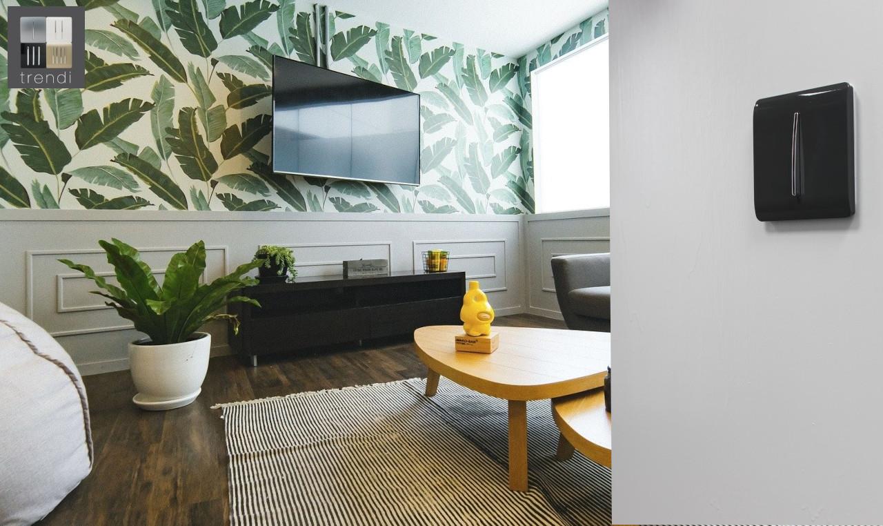 Trendi Artistic Modern Glossy  Home Automation Switch Charcoal