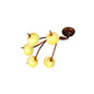 Mantra (0038 003) Wave Ceiling 5 Light G9, Rustic Gold