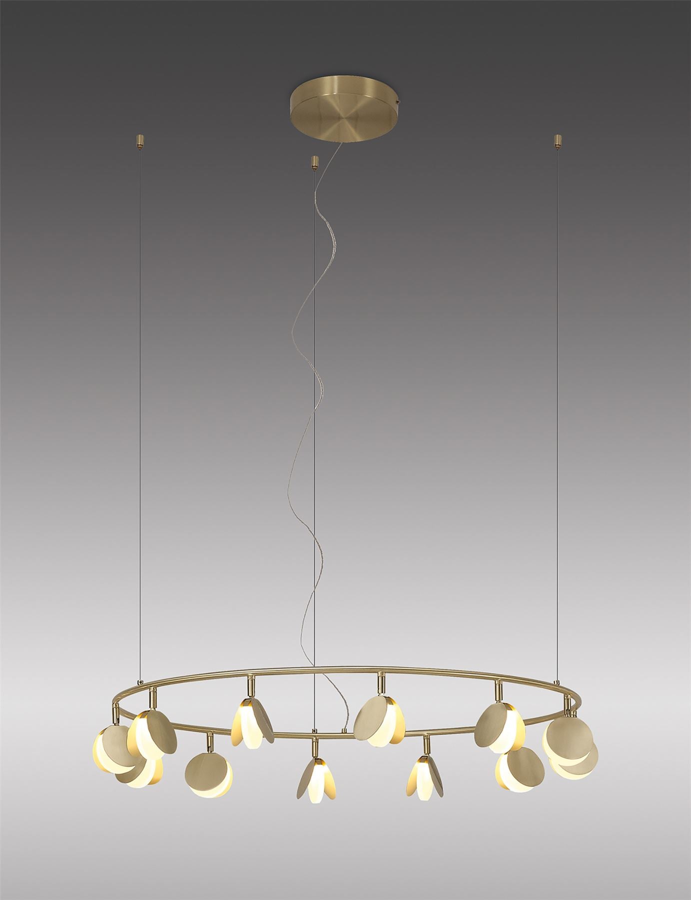 Mantra Shell 86cm 12 Light Pendant, Round, 50W LED, 3000K, 2650lm, Gold, 3yrs Warranty