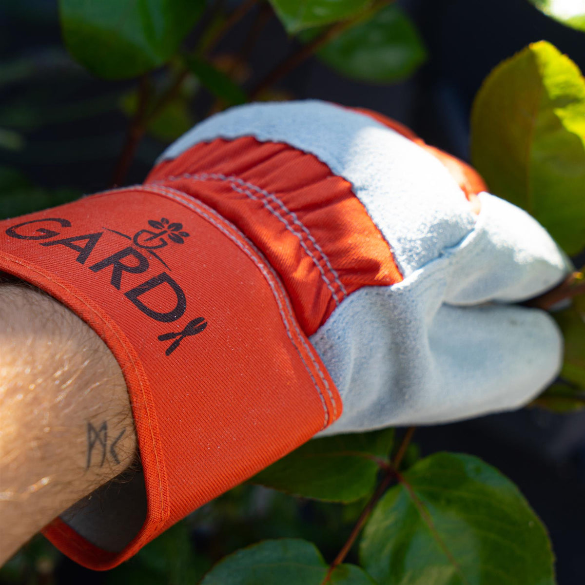 Gardi Heavy Duty Durable & Breathable Gardening Gloves Medium (1 Pair)