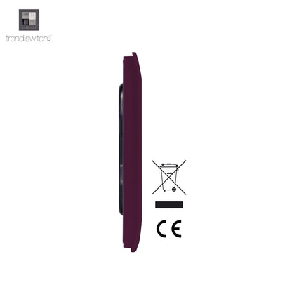 Trendi 2 Gang Artistic Modern Glossy Tactile Double Blanking Plate Plum