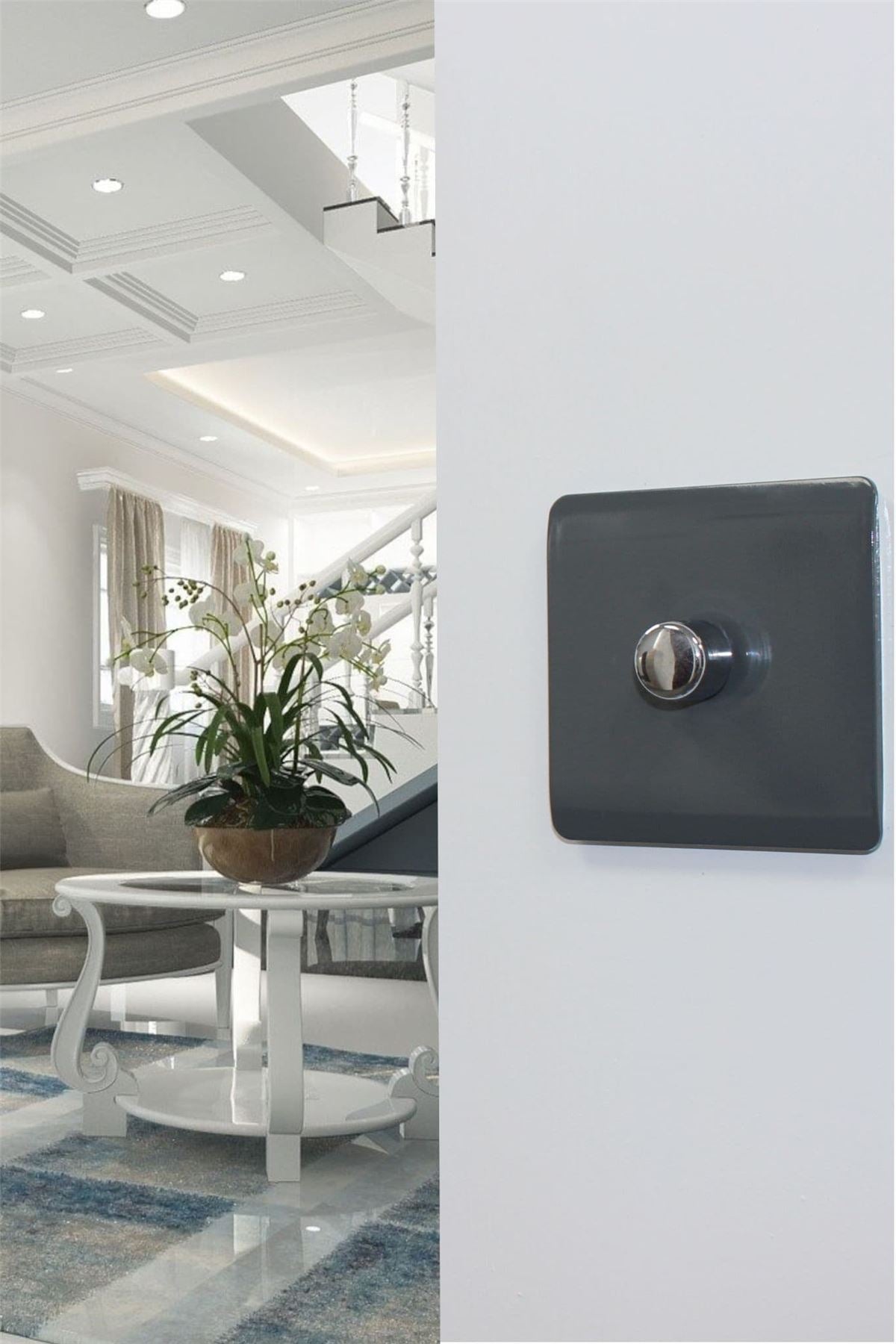 Trendi 1 Gang 2 Way 240V 100w LED Dimmer Screwless Raised Front Plate Plastic Artistic Modern Glossy 10 Amp Chrome Single Electrical Wall Light Switch in Charcoal - ART-LDMCH