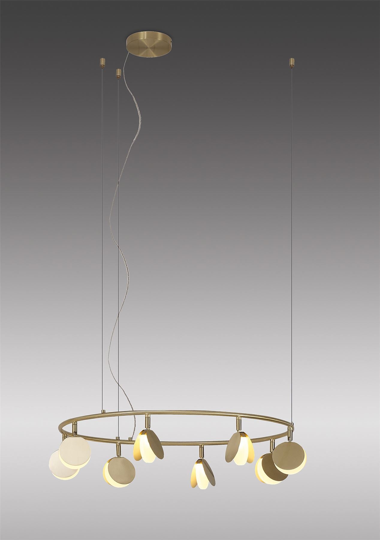 Mantra Shell 66cm 8 Light Pendant, Round, 40W LED, 3000K, 2120lm, Gold, 3yrs Warranty