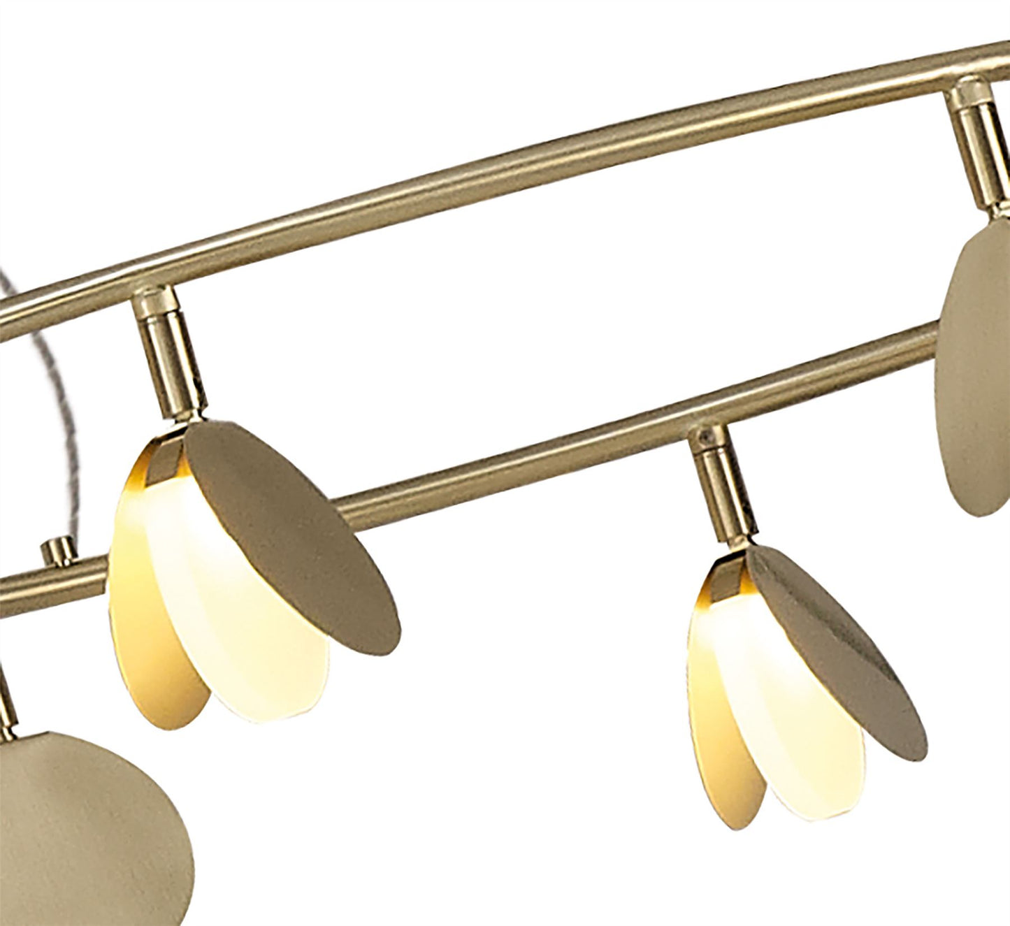 Mantra Shell 66cm 8 Light Pendant, Round, 40W LED, 3000K, 2120lm, Gold, 3yrs Warranty