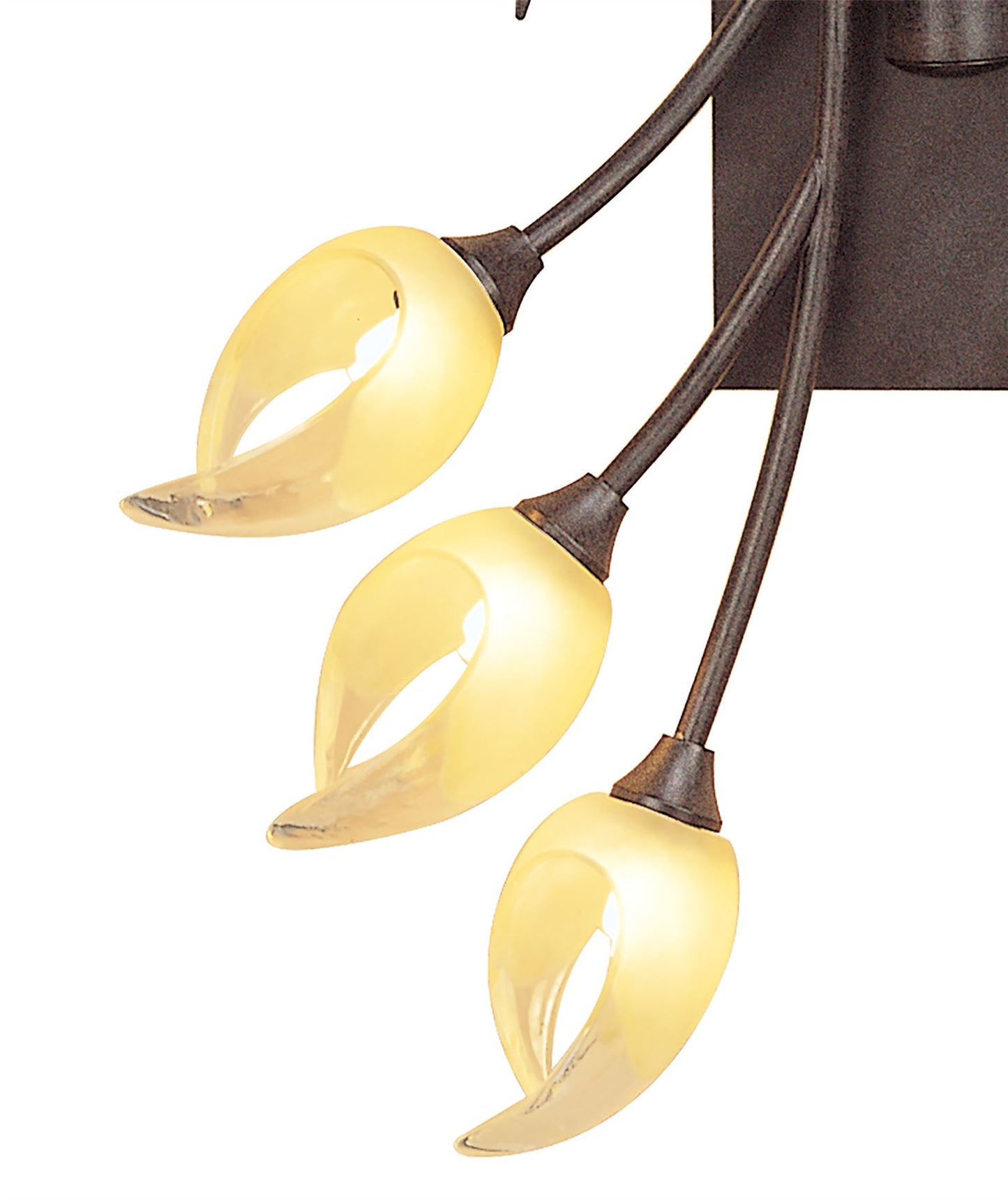 Mantra Holland Ceiling/Wall Switched 6 Light G9, Brown/Black Oxide