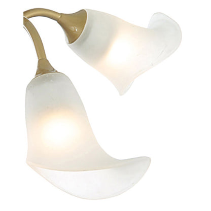 Diyas Ancona 47cm Semi Flush 4 Light G9 Satin French Gold/Frosted Glass
