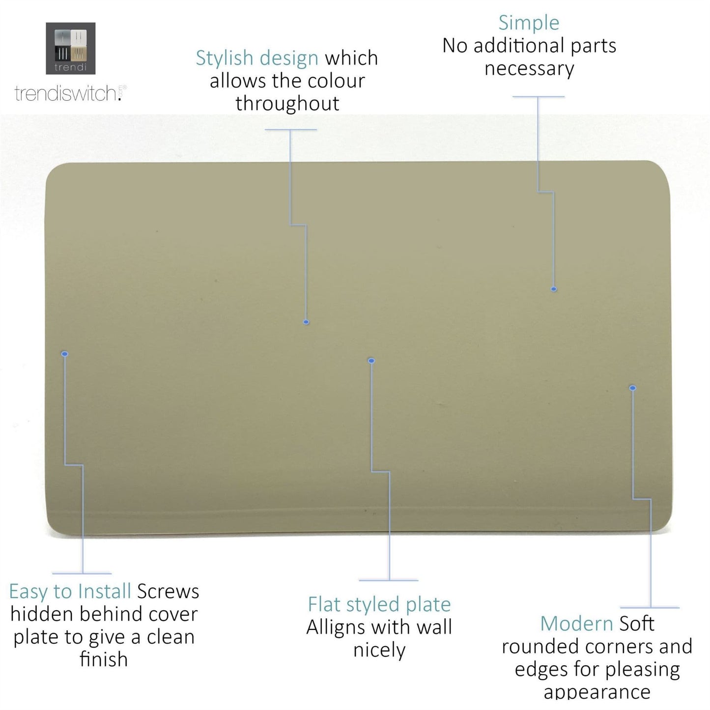 Trendi 2 Gang Artistic Modern Glossy Tactile Double Blanking Plate Gold