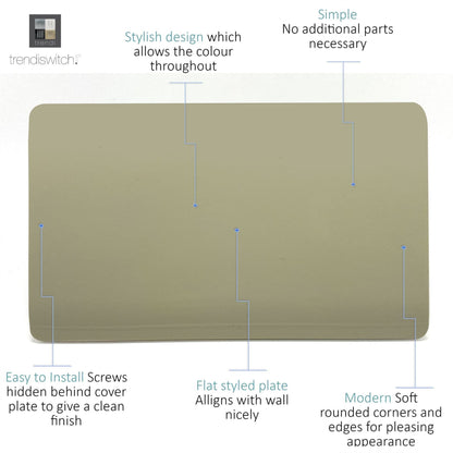 Trendi 2 Gang Artistic Modern Glossy Tactile Double Blanking Plate Gold