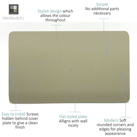 Trendi 2 Gang Artistic Modern Glossy Tactile Double Blanking Plate Gold