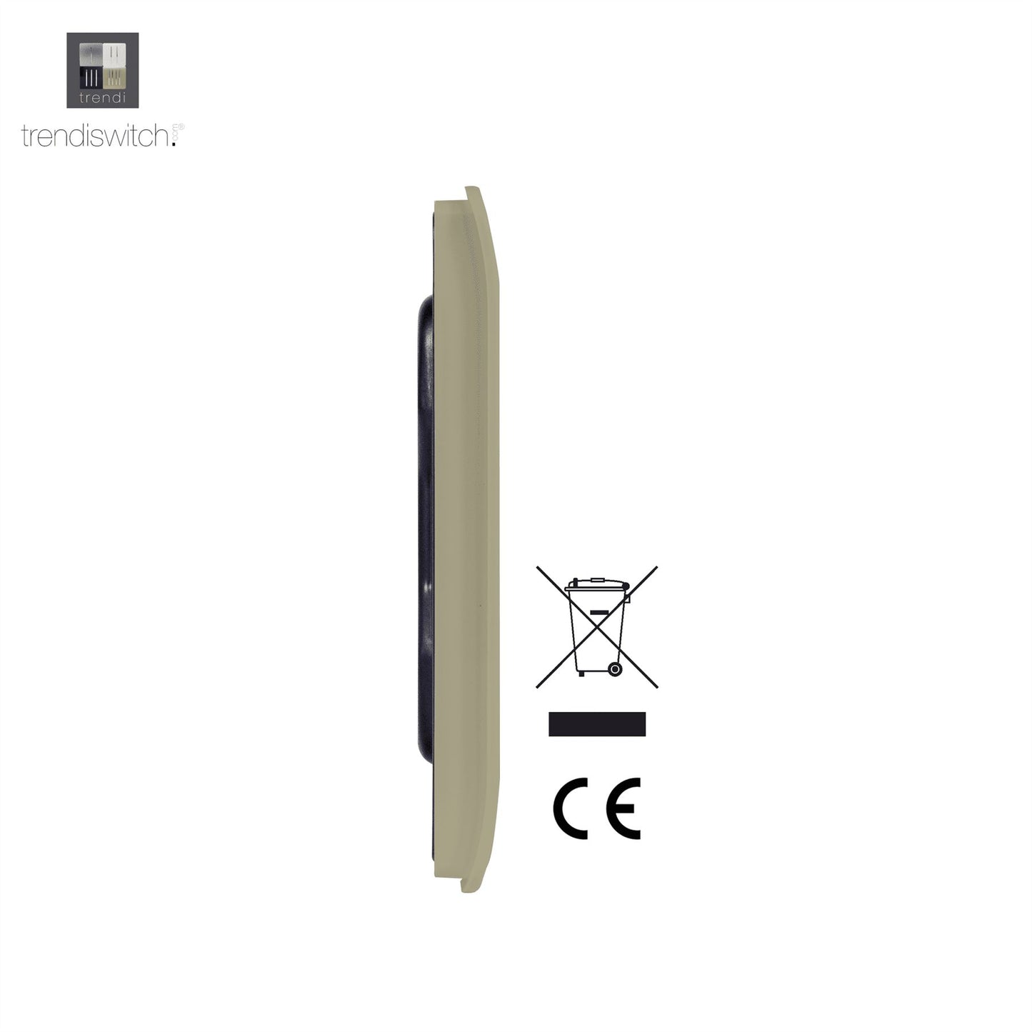 Trendi Artistic Modern Glossy Tactile Single Blanking Plate Gold ART-BLKGO