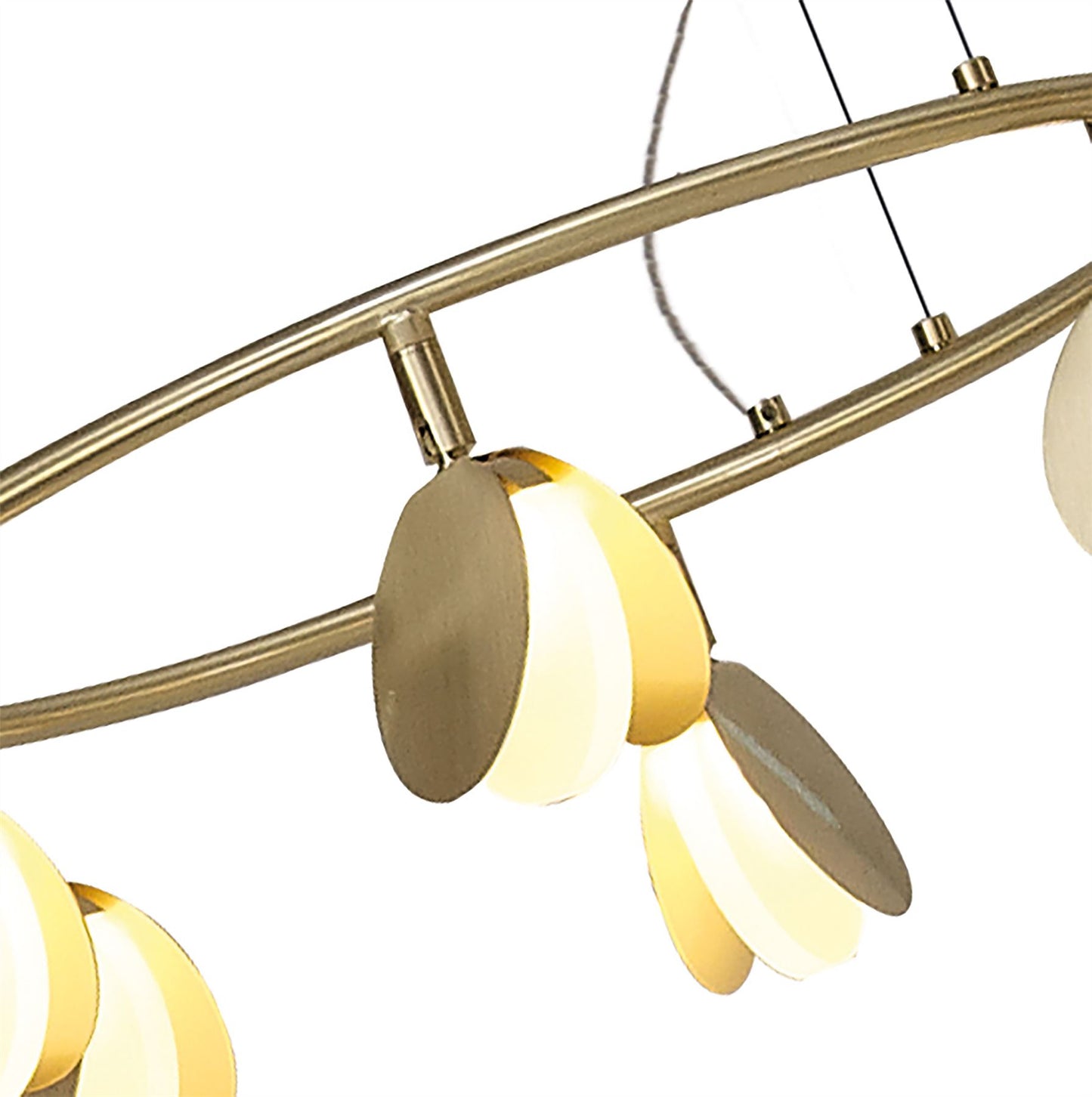 Mantra Shell 46cm 6 Light Pendant, Round, 30W LED, 3000K, 1590lm, Gold, 3yrs Warranty