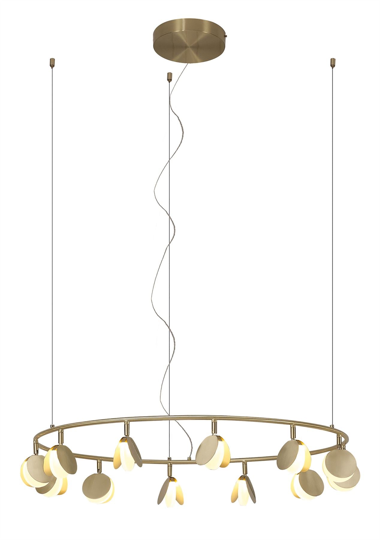 Mantra Shell 86cm 12 Light Pendant, Round, 50W LED, 3000K, 2650lm, Gold, 3yrs Warranty