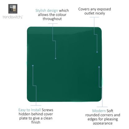 Trendi Artistic Modern Glossy Tactile Single Blanking Plate Dark Green