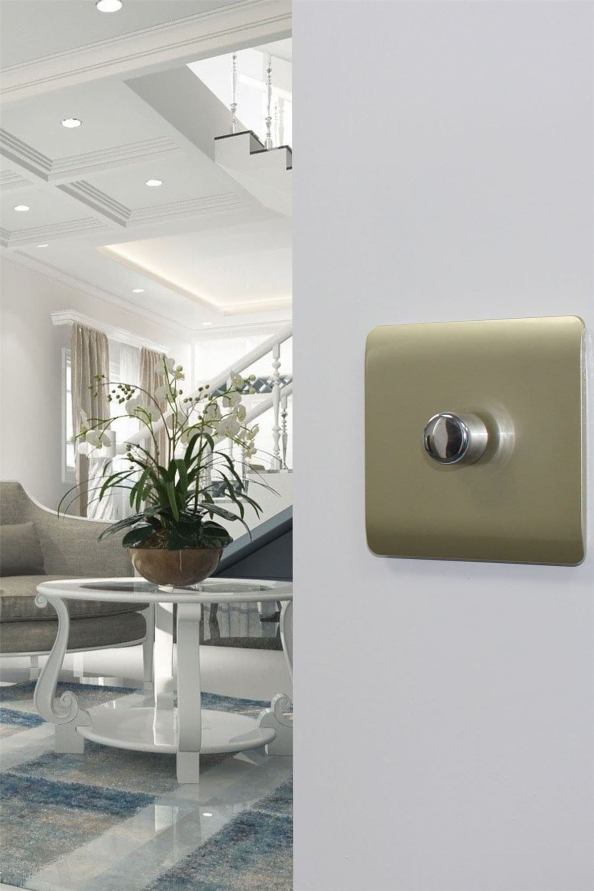 Trendi 1 Gang 2 Way 240V 100w LED Dimmer Screwless Raised Front Plate Plastic Artistic Modern Glossy 10 Amp Chrome Single Electrical Wall Light Switch in Champagne Gold - ART-LDMGO