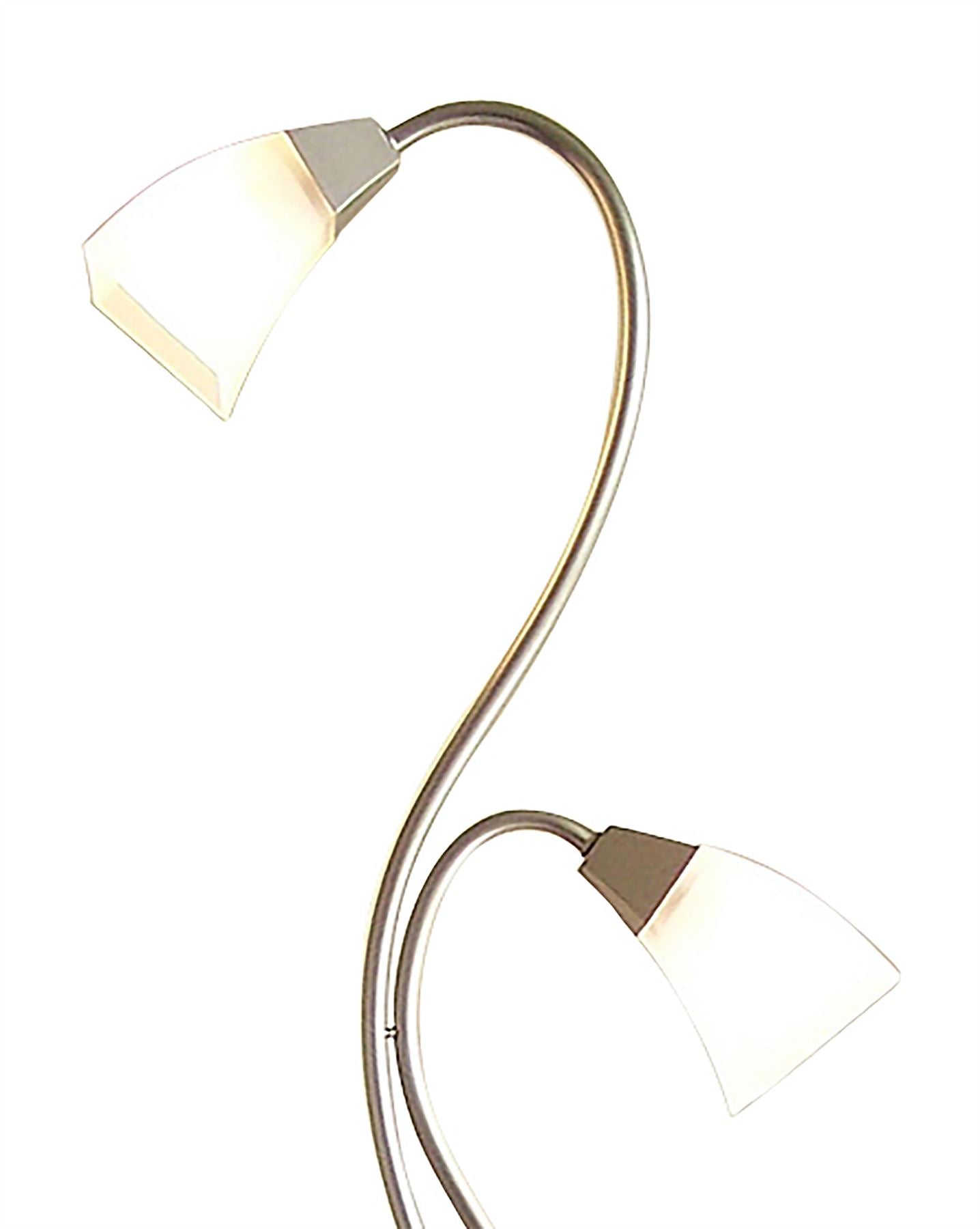 Diyas Chievo Floor Lamp with In-Line Dimmer 2 Light G9 Satin Chrome/Frosted Glass, NOT LED/CFL Compatible