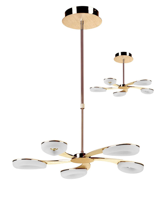 Mantra Fusion Juno 65cm Telescopic 5 Light 30W LED 3000K, 2700lm, Satin Gold/Frosted Acrylic/Gold, 3yrs Warranty